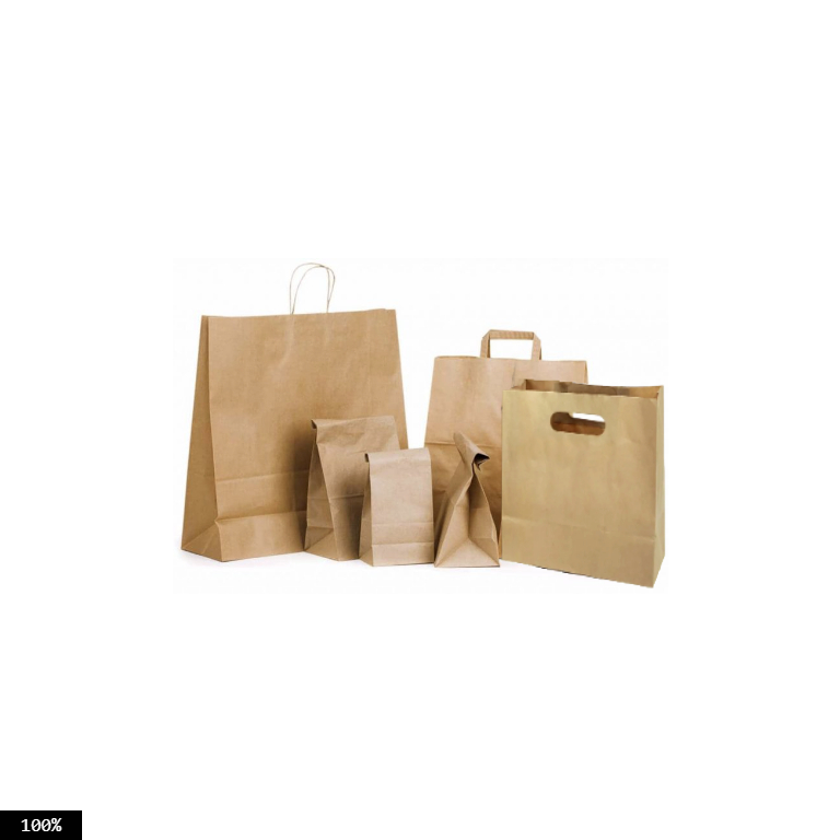 Brown Craft Paper Bags