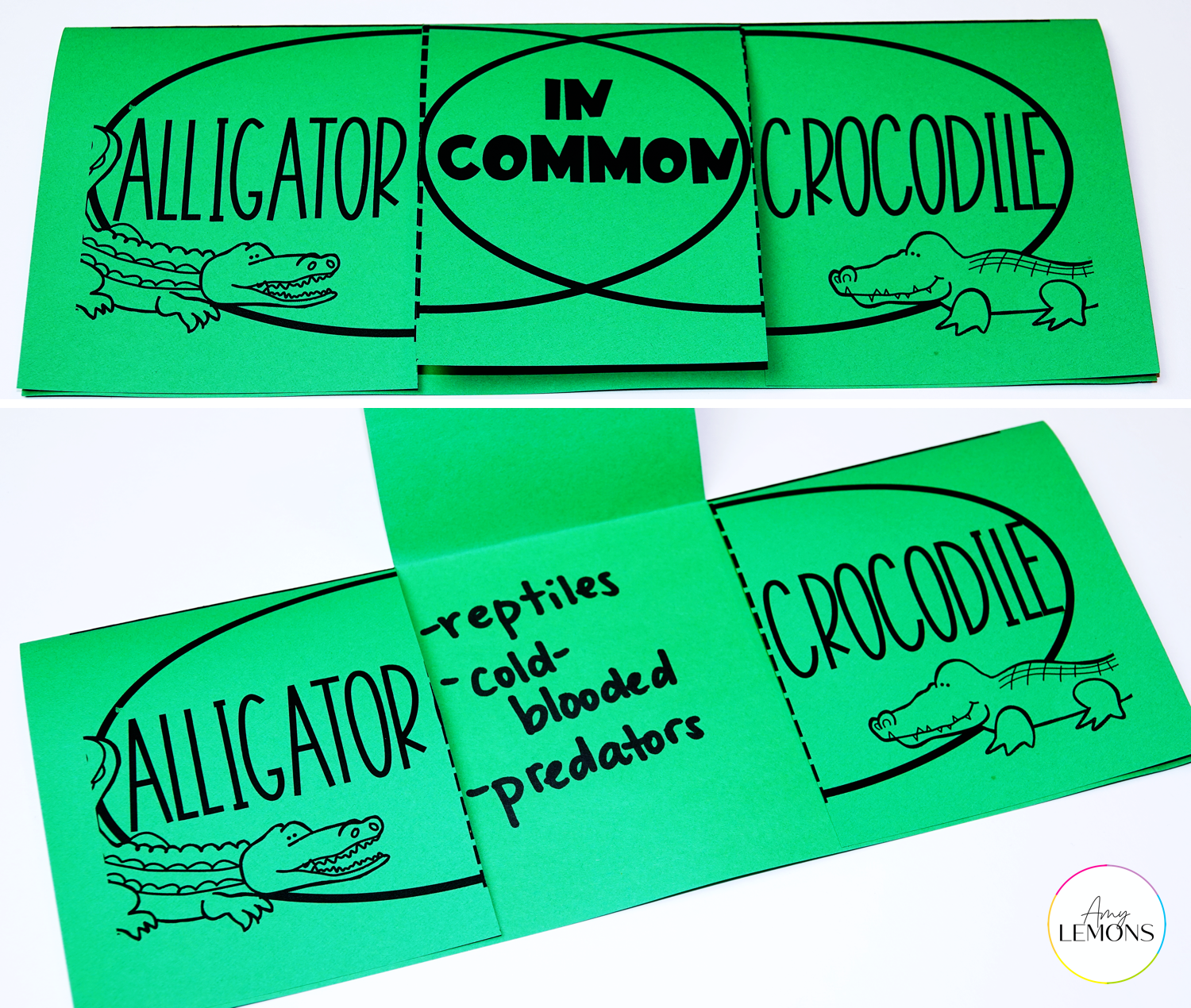 Compare and contrast venn diagram flap book for alligators and crocodiles