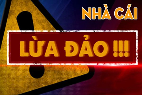 Nhà cái 6686vn.app có uy tín không và có lừa đảo hay không?