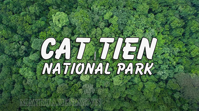 Vườn quốc gia Cát Tiên có tên tiếng Anh là Cat Tien National Park (Ảnh internet)
