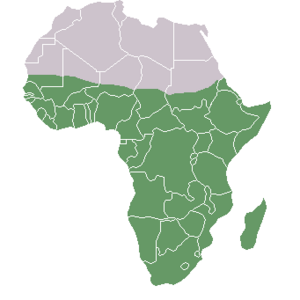 africa subsaariana
