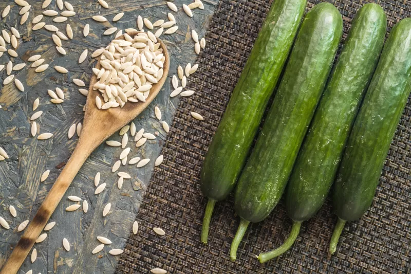 Use new seeds.