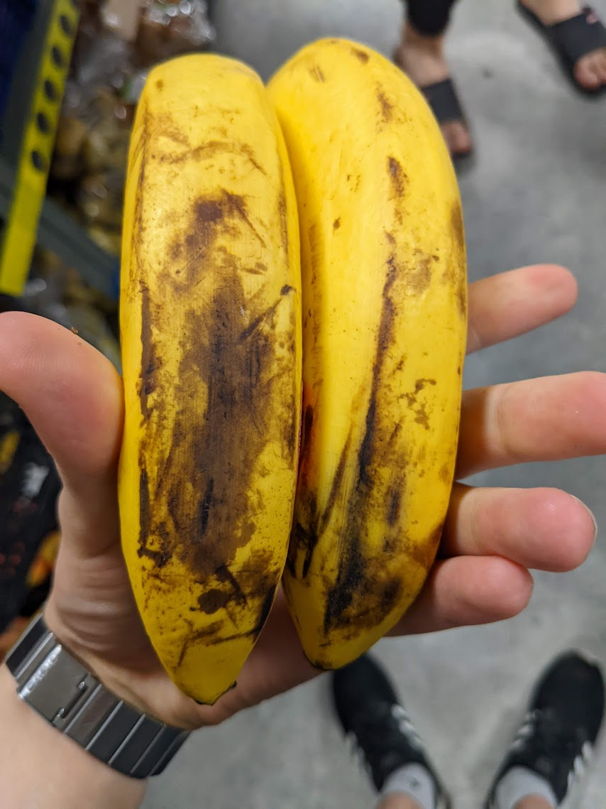 A hand holding two bananas

Description automatically generated