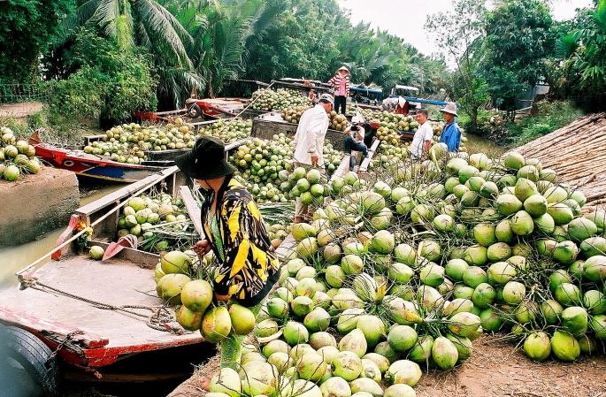 Đưa Bến Tre trở thành trung tâm trái cây đặc sản vùng Đồng bằng sông Cửu  Long