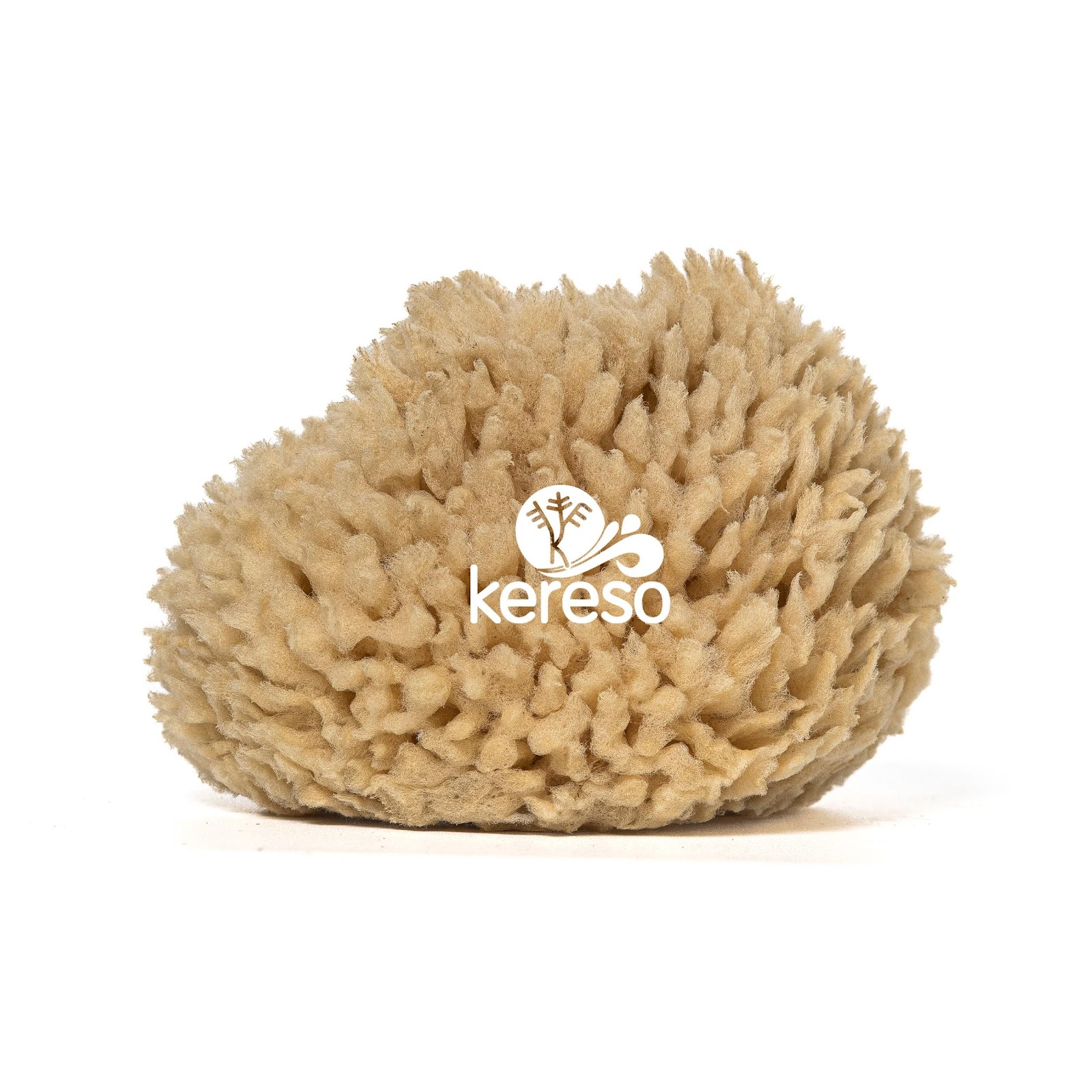 wool sponge