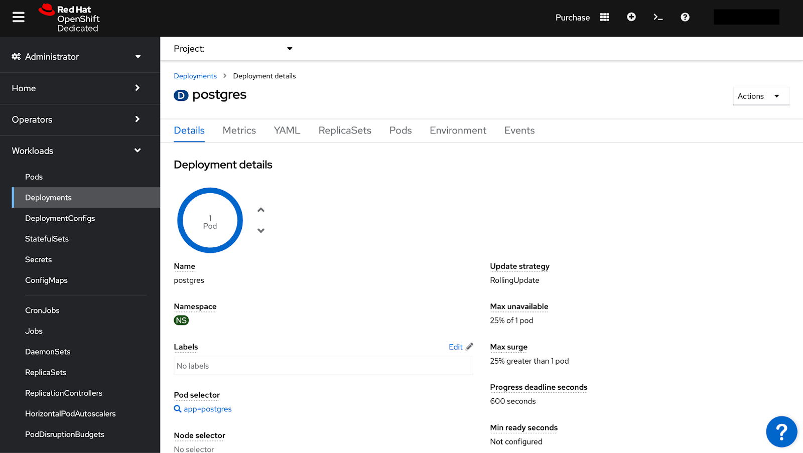 Postgres deployment details including name, namespace, labels, pod selector, node selector, update strategy, maximum unavailable, maximum surge, progress deadline seconds, and min ready seconds.