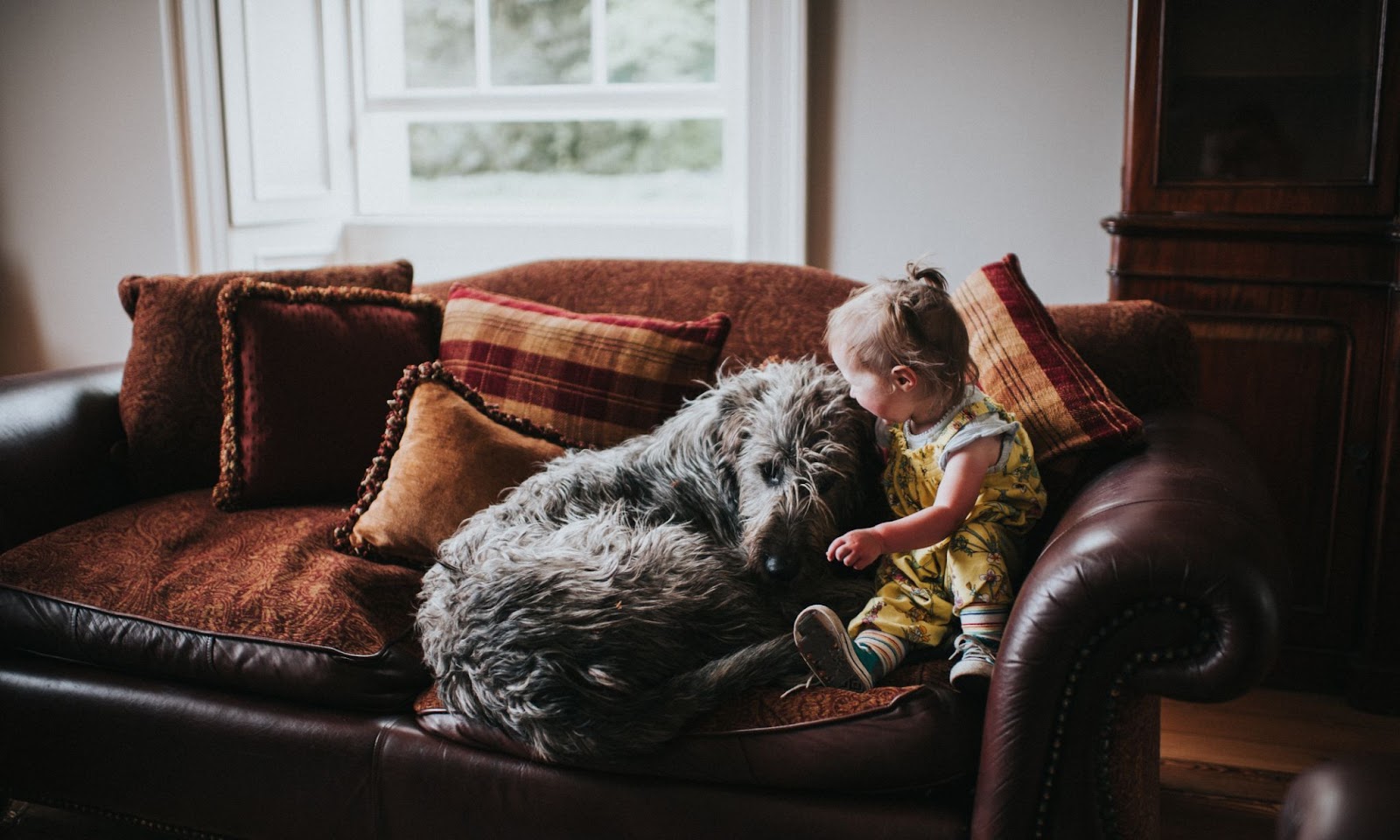 Собака и ребенок на диване
