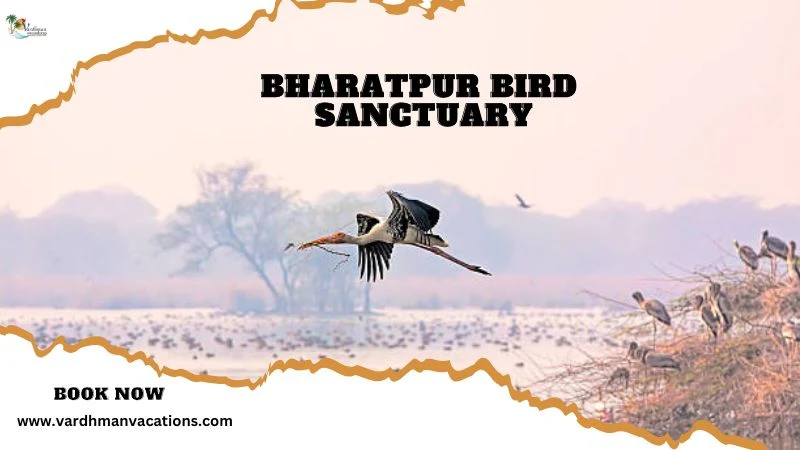 Bharatpur Bird Sanctuary