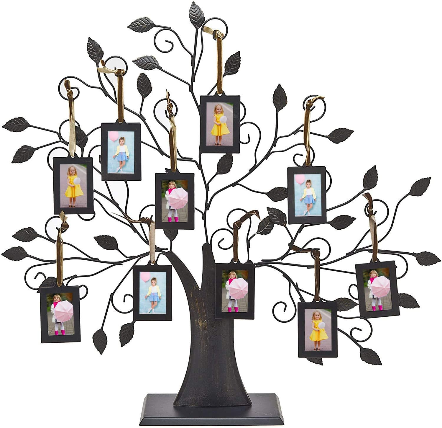 small photo family hanging tree