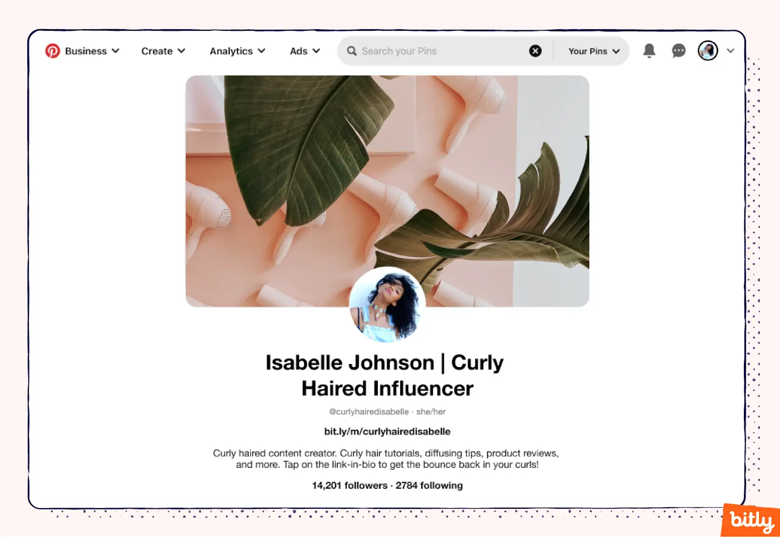A screenshot of Isabelle Johnson's Pinterest bio
