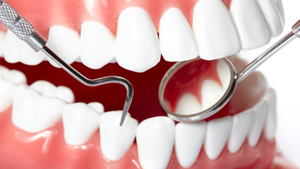 Expert Dental Health Tips

