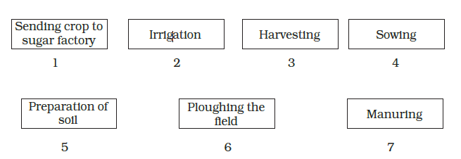 NCERT Solutions For Class 8 Science Chapter 1-sol-1