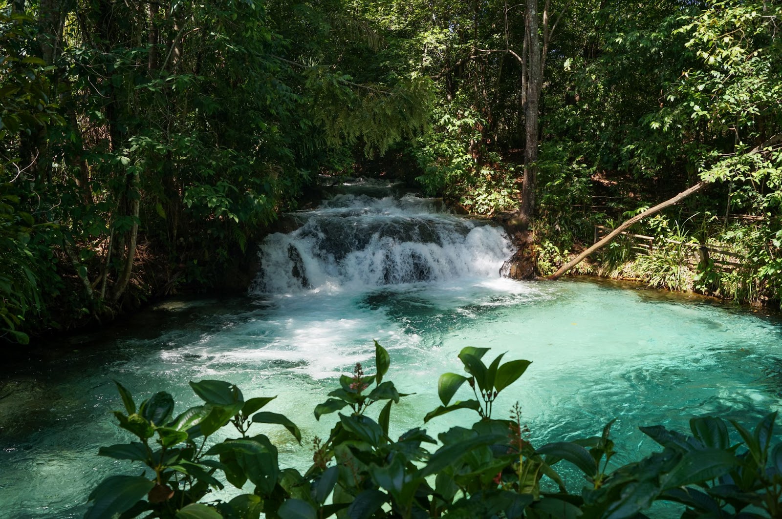 Cachoeira do Formiga no Jalapão. Queda d’água pequena, mas com alto fluxo de água cristalina. Poço de água azulado cercado pela vegetação.