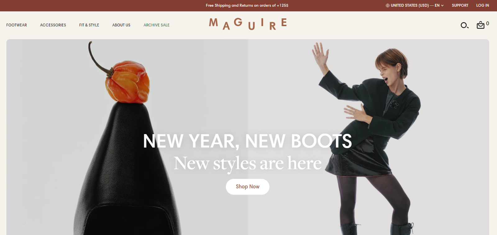 maguire website homepage
