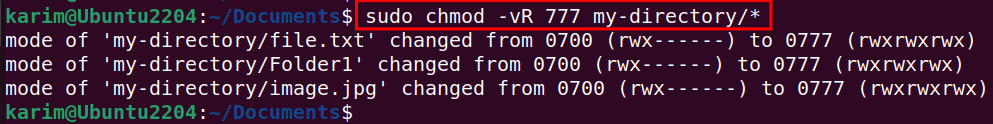 sudo chmod -vR