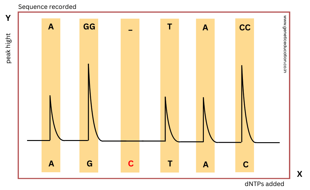 Graphical representation of pyrosequencing results.