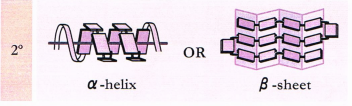 Texto, Carta

Descripción generada automáticamente