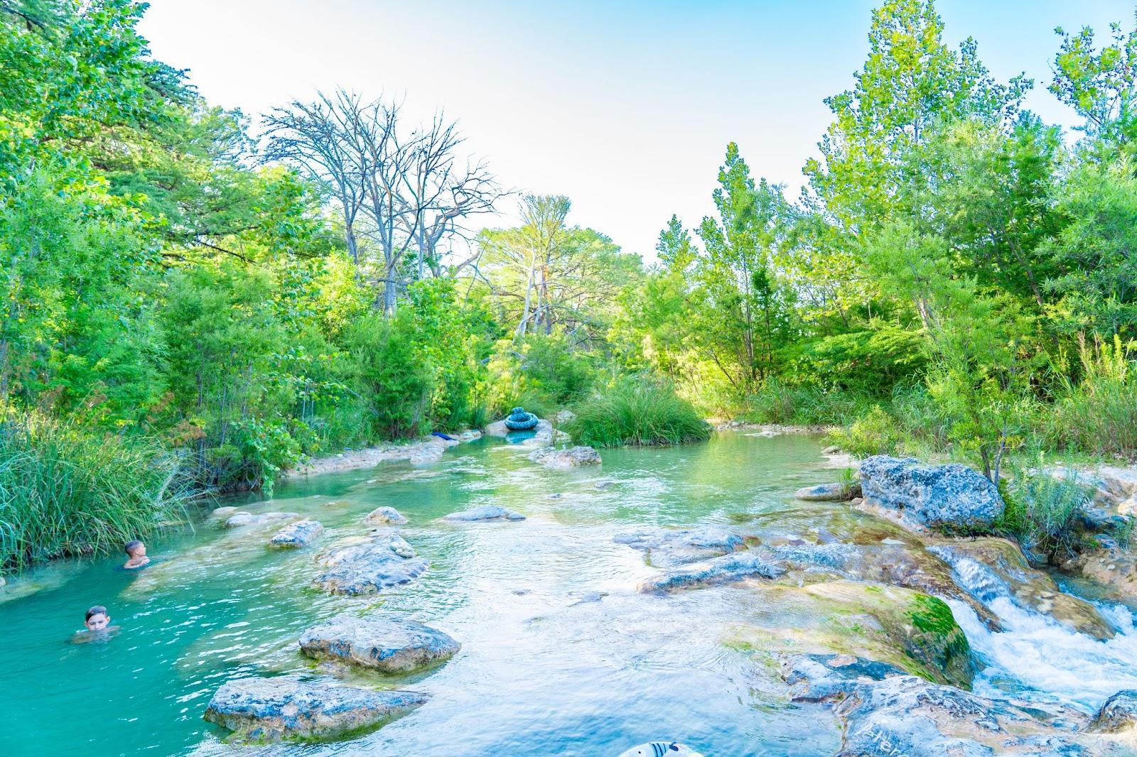 a river with rocks and trees