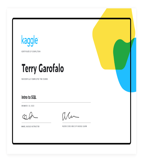 Kaggle Kurs Sertifikası Örneği