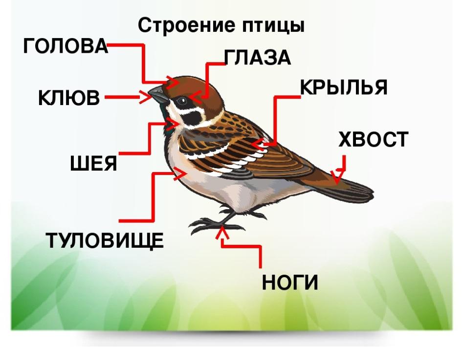 Описание: https://1.bp.blogspot.com/-riyCrN73l60/YCZAQ_DyQdI/AAAAAAAACjw/andSdOnfufcBe3Bej0dT8aoERpIbZiZCACLcBGAsYHQ/s960/img3.jpg