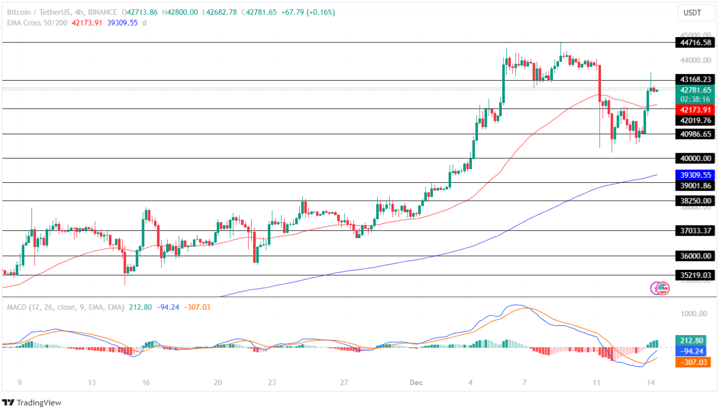 Bitcoin Price Analysis