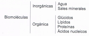 Imagen que contiene Diagrama

Descripción generada automáticamente