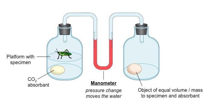 manometer