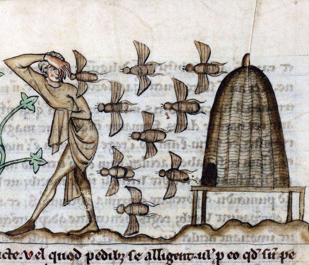 medieval beekeeper