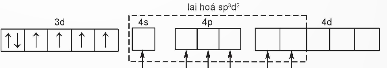 A diagram of a diagram

Description automatically generated