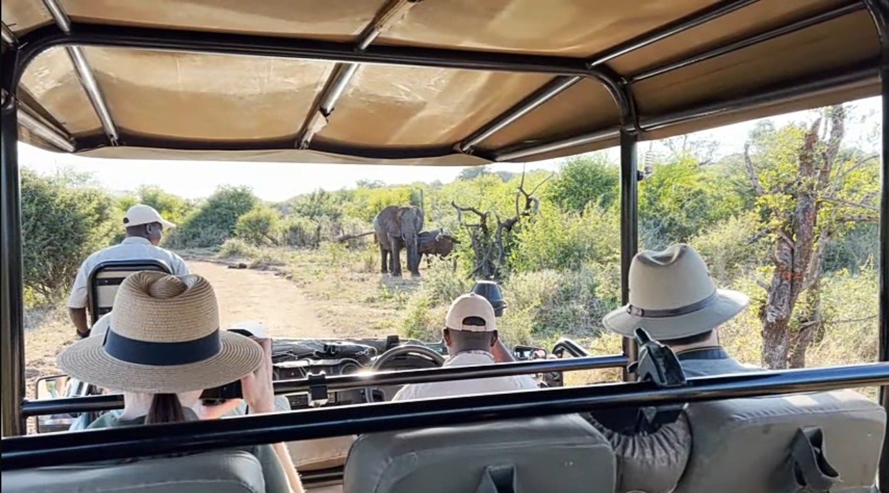Spotting the Big Five at Victoria Falls Private Game Reserve is one of the 17 Things to Do in Victoria Falls