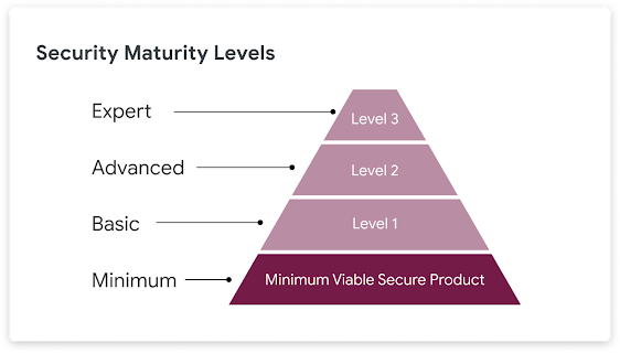 Security Maturity Levels - Minimum, Basic, Advanced, and Expert