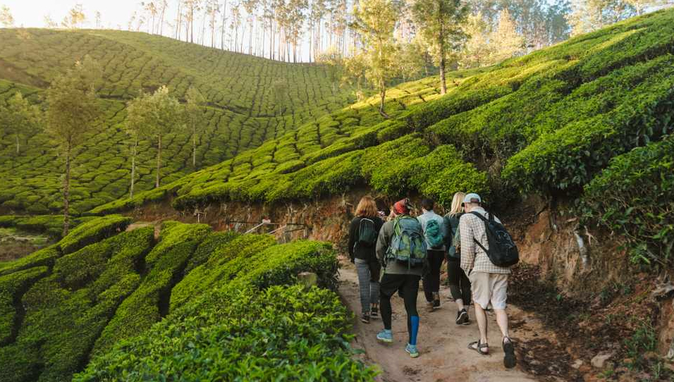 trekking Western Ghats Kerala