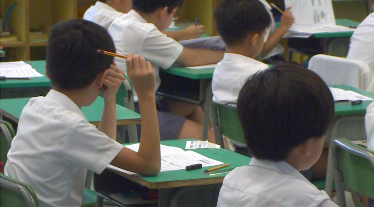 TSA 全港性系統評估 小三 小六 中三 香港 香港教育局 香港考評局 教育局 考評局