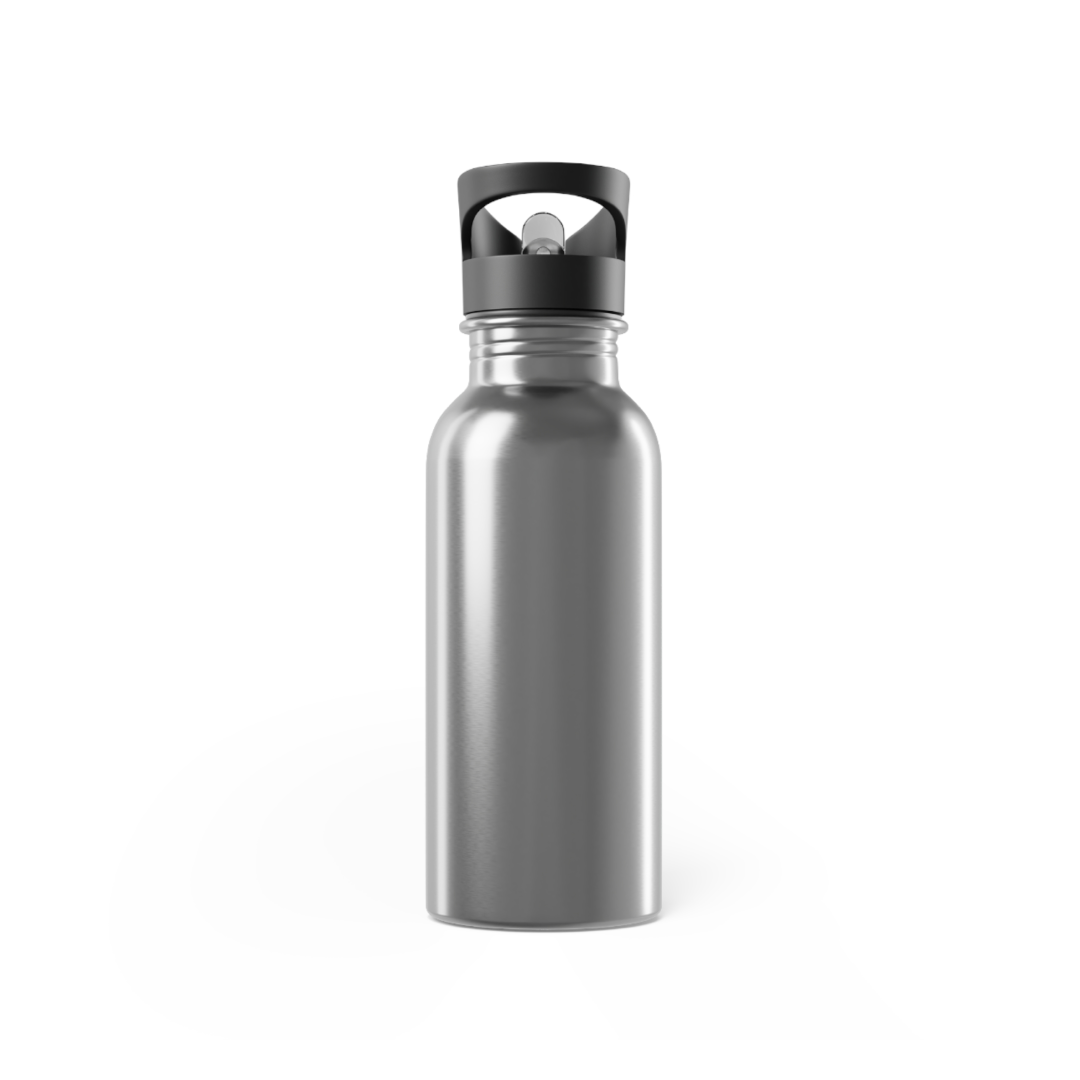 Stainless Steel Water Bottle with Straw 20oz