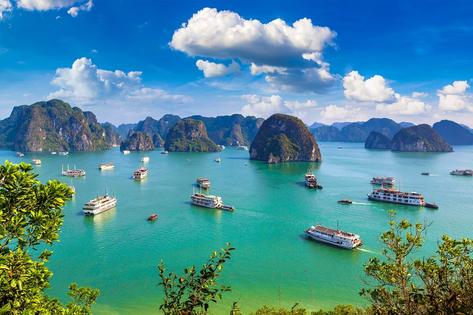 ha long bay vietnam tours