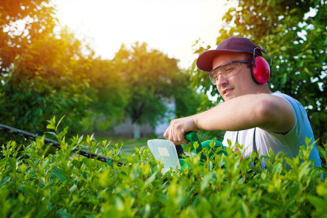 A person wearing earphones and glasses working in a hedge

Description automatically generated