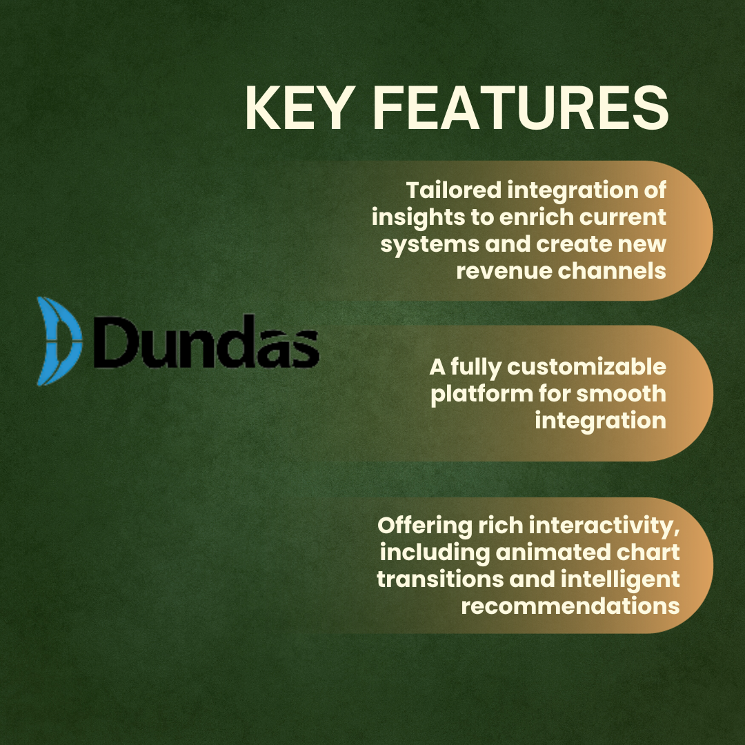 Dundas BI business intelligence solution  Key features