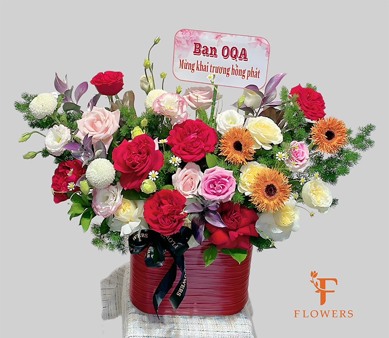 Hoa khai trương quận 7 F Flowers CTKkKMTw8jX6EH0CvVv-XQcjLptXf-NUfpL8LiRyA2t6PIleFA6TFq3t6EbL3D6AzCspEEWruMvoAjhzsSnnngK8x_GvPeRUr297pUneo6WG_oEm3hQkmq7gKpbKDkM42dbfcrMRqNGKYIyTFBXtHiY