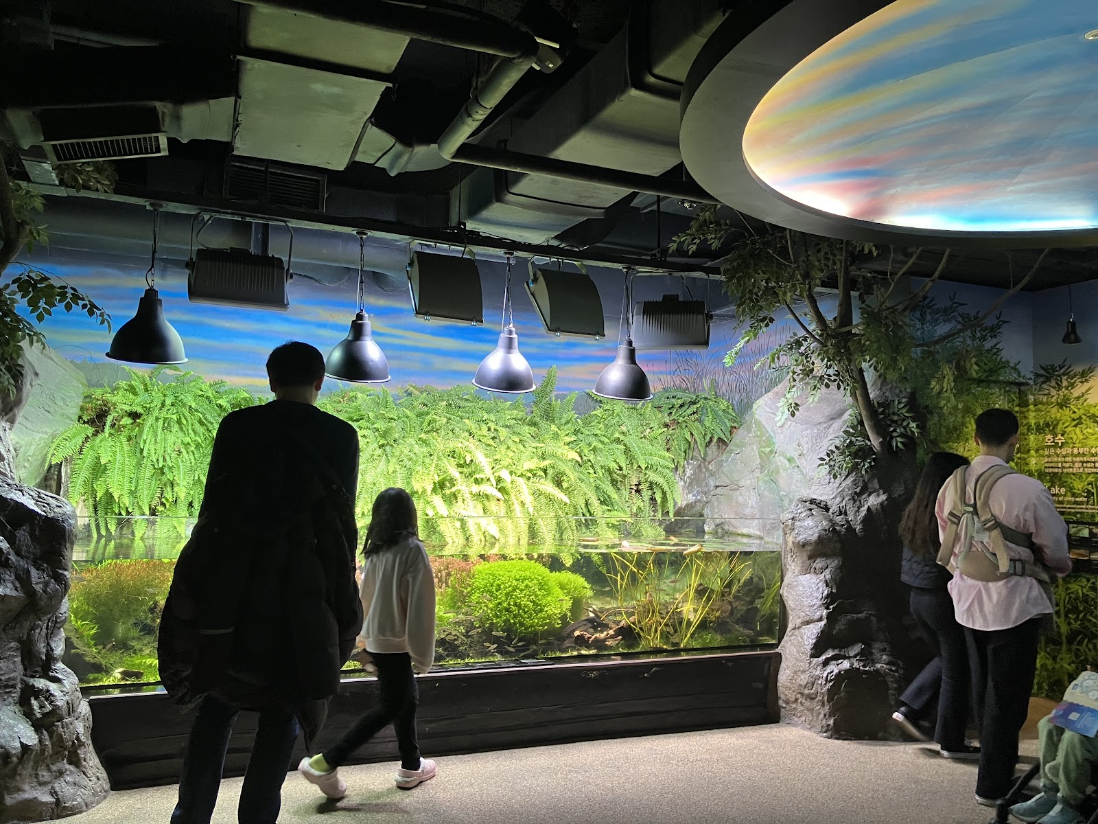 子連れ韓国にもデートにも！韓国最大級の水族館【COEX AQUARIUM】に行ってみた COEX MALL