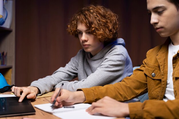 Two teenage boys studying together at home with laptop