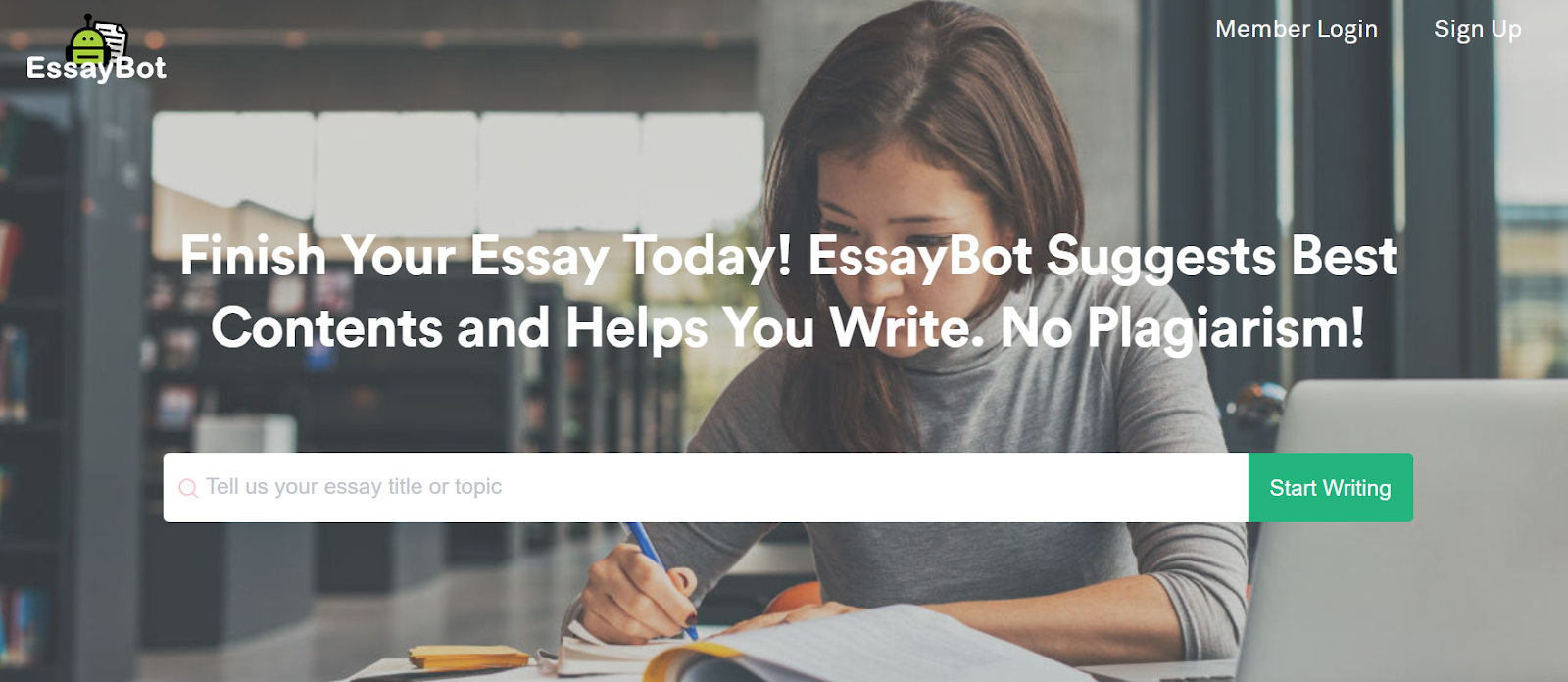 essay writer toolbaz