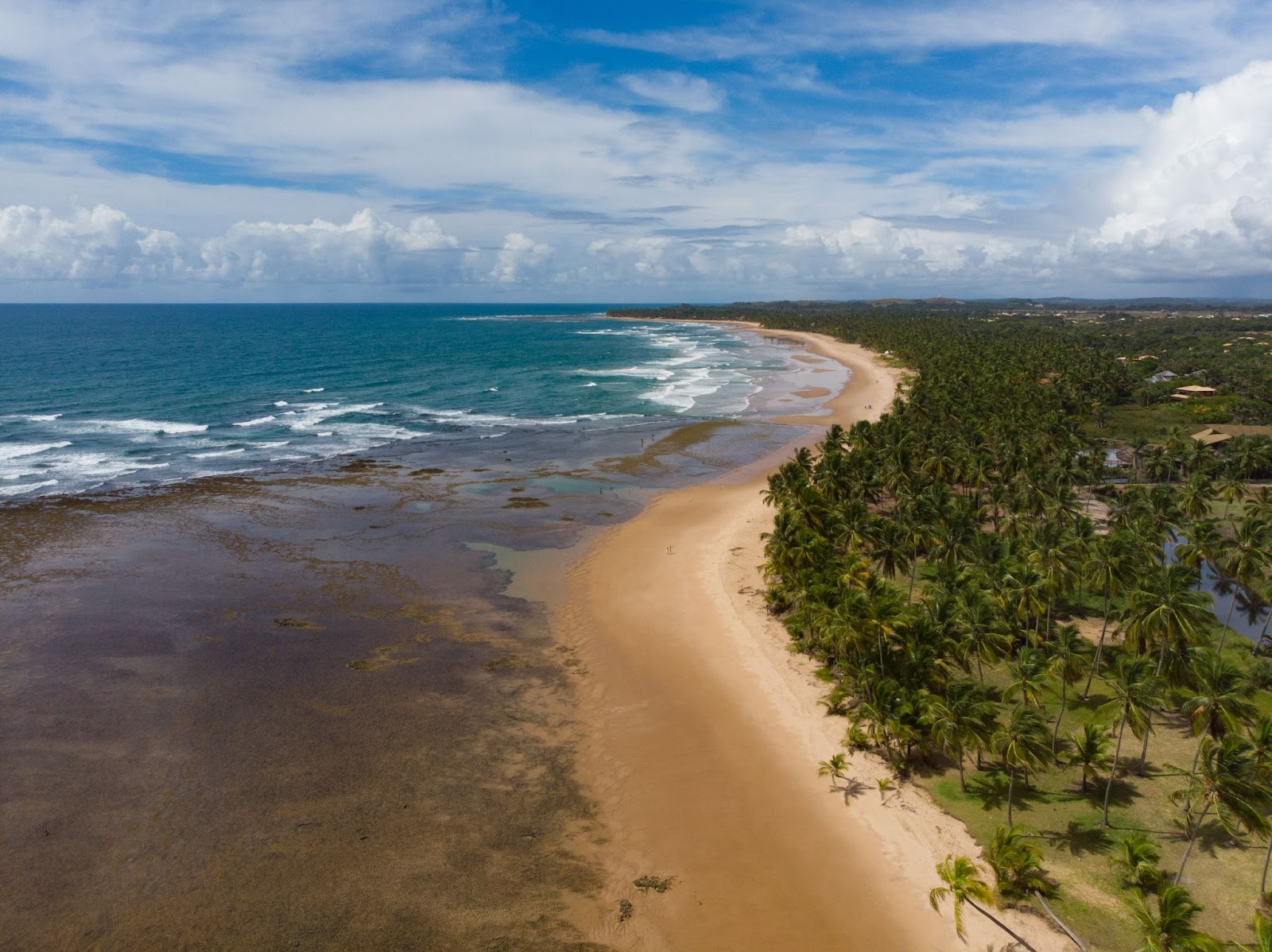 Vista aérea panorâmica de praia com mar azul ao horizonte, chegando a parte cristalina revelando os corais debaixo d’água. Ao lado direito, vasta área verde com coqueiros.