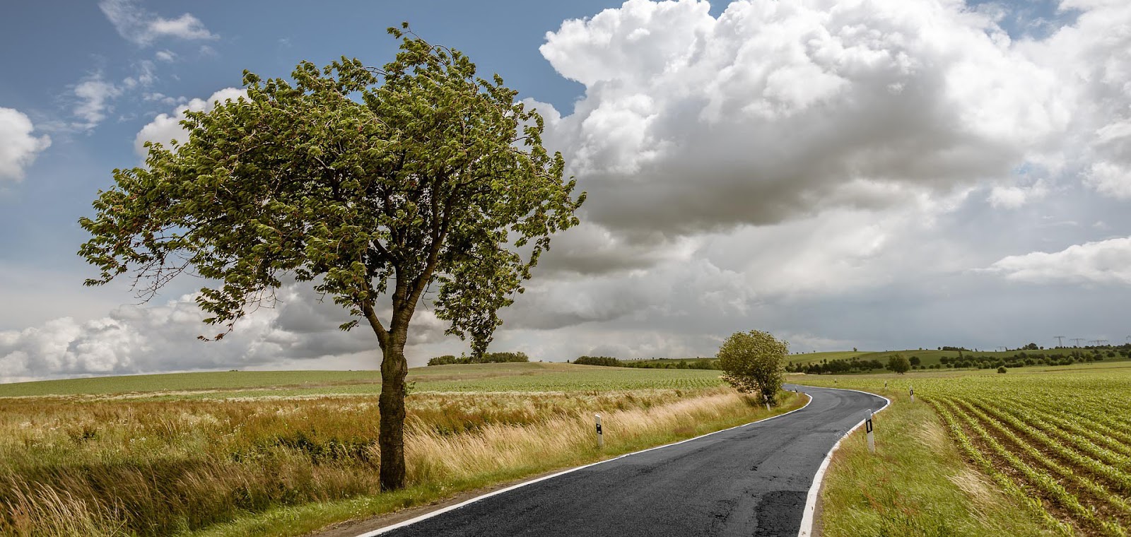 Road Trip Revelations Unveiled