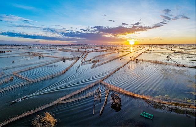 Thương hiệu cho cá đầm phá Tam Giang - Cầu Hai