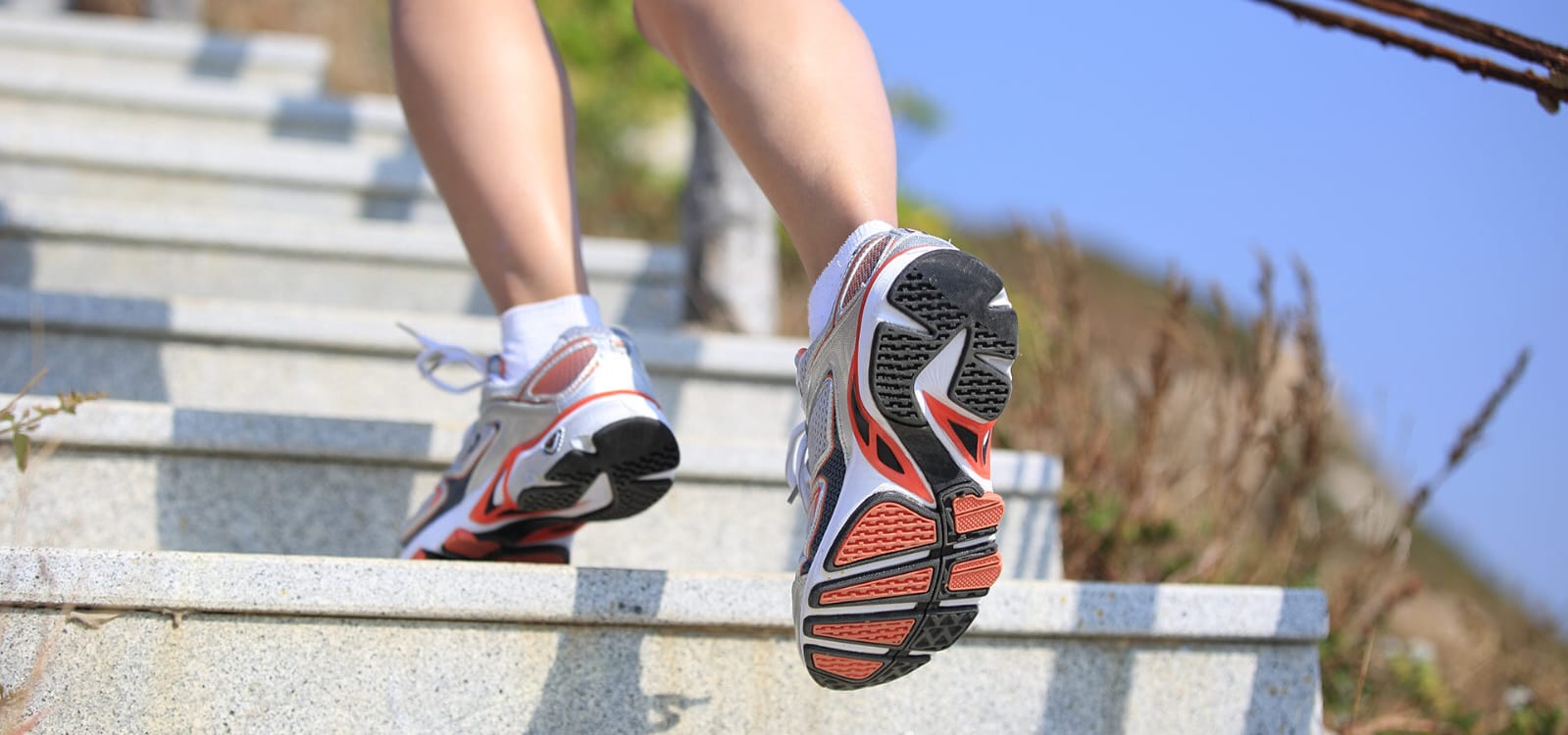 know climbing stairs for weight loss