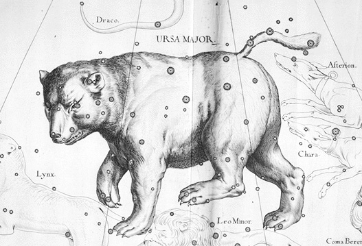 The Great Bear Constellation