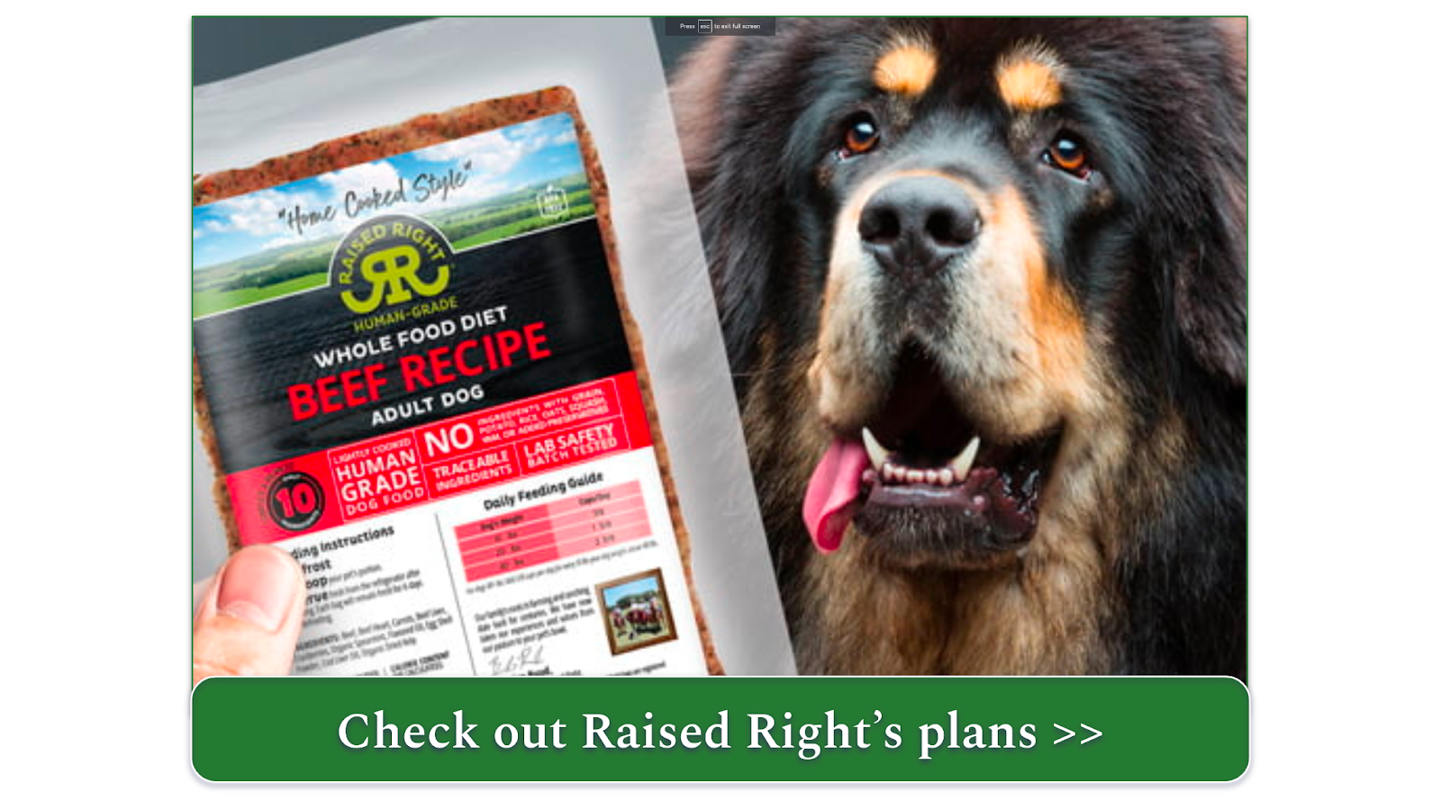 Best online outlet dog food delivery