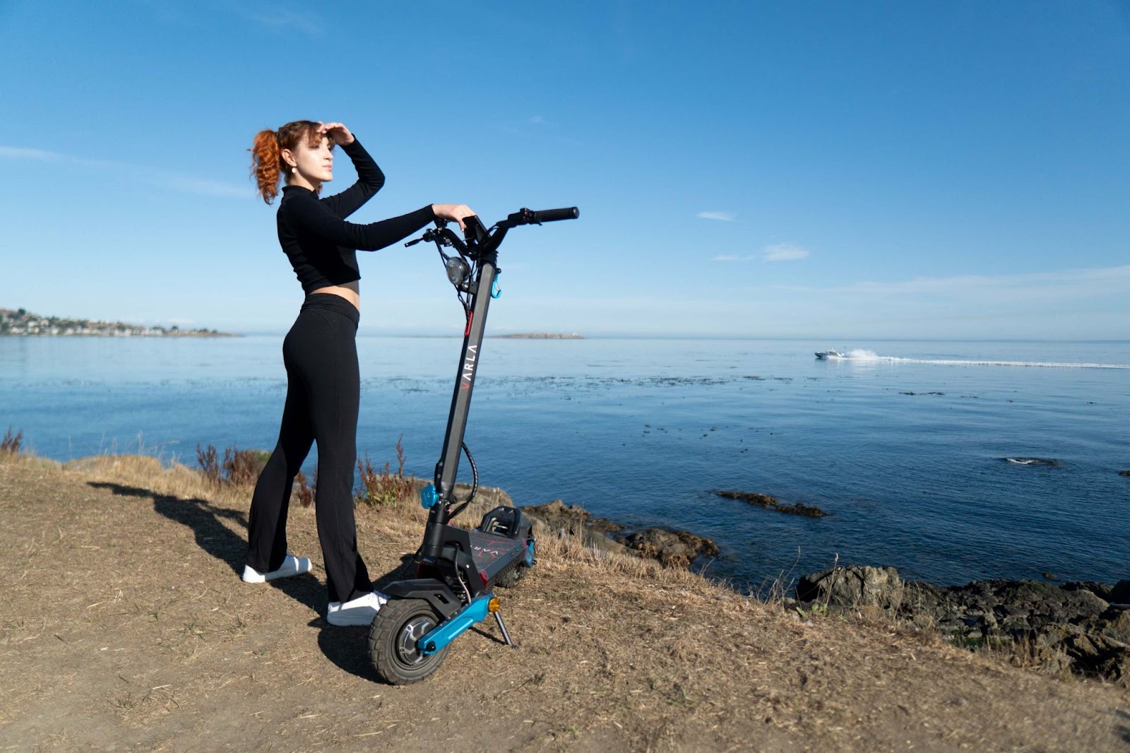 foldable electric scooter