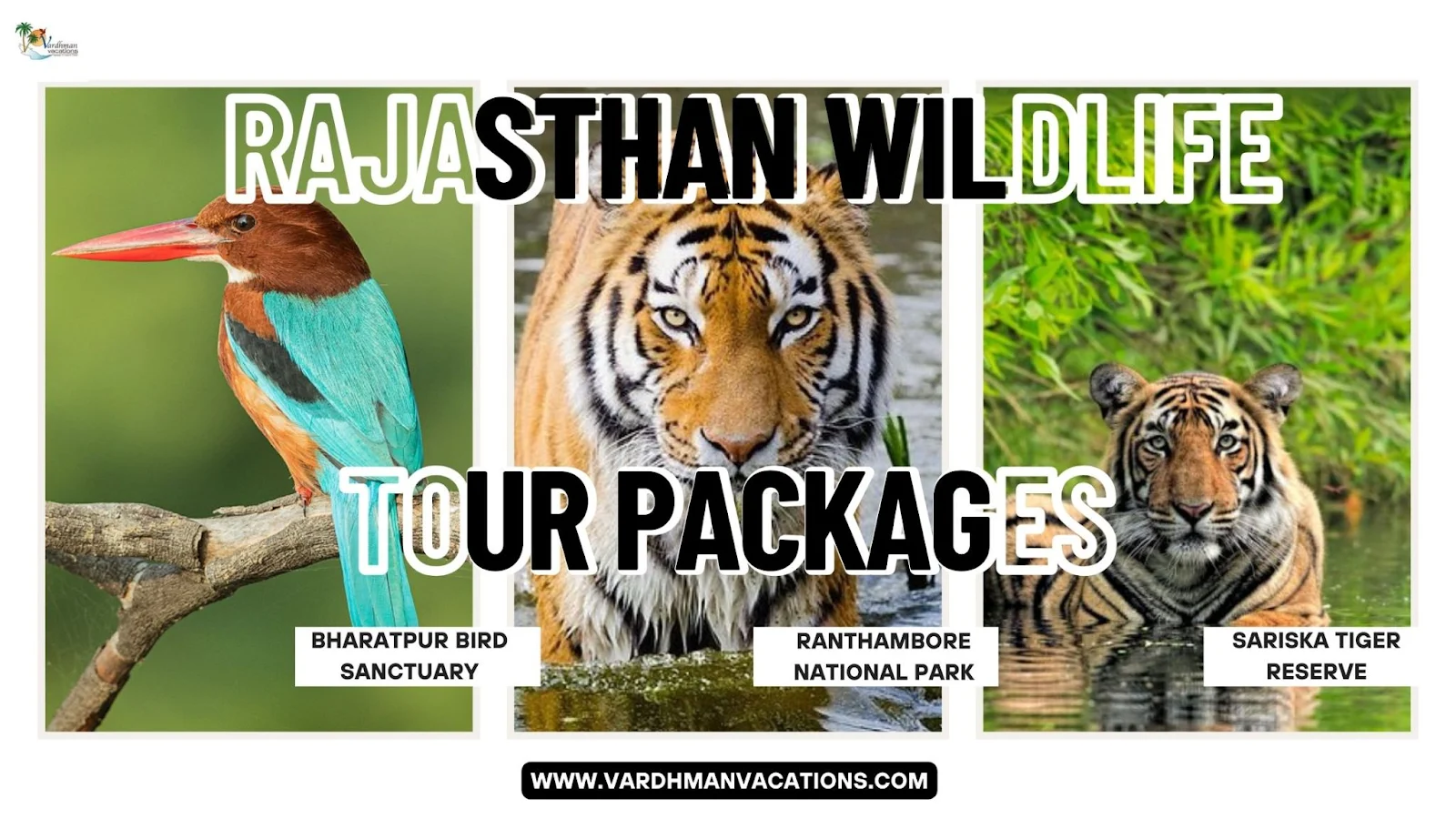 Rajasthan Wildlife Tour Packages