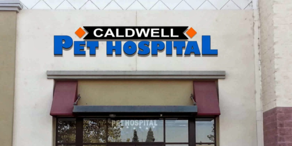 Caldwell Pet Hospital